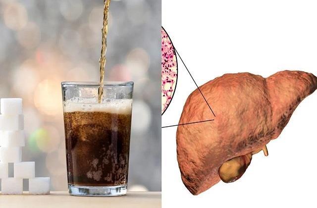 शुगर-फ्री ड्रिंक को लेकर रिसर्च में हुआ बड़ा खुलासा, जानकर रह जाएंगे हैरान