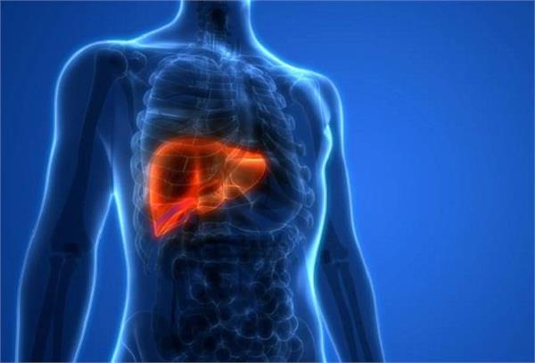 रात में दिखता है Liver सड़ने का ये एक खतरनाक लक्षण, दिखते ही भागें डॉक्टर के पास
