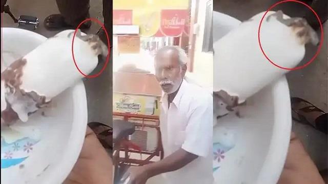 लुधियाना में आइसक्रीम में निकली छिपकली, 7 साल के बच्चे की तबीयत बिगड़ी