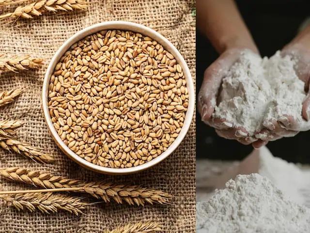 सिर्फ 1 रुपये में गेहूं को घुन से बचाएं, जानें स्टोर करने के आसान उपाय