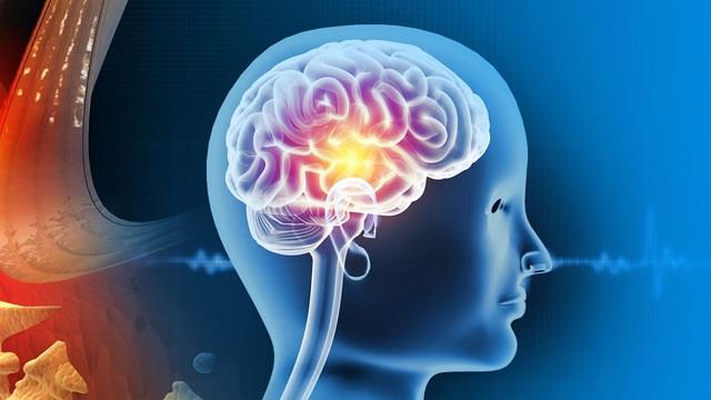 Brain Tumor के शुरुआती स्टेज में दिखाई देते हैं ये लक्षण, दिखते ही भागें डॉक्टर के पास