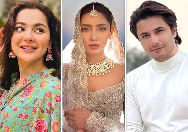 24 घंटे बाद ही भारत ने बदल अपना फैसला, पाकिस्तानी सेलिब्रिटीज के  Instagram Accounts  फिर किए बैन