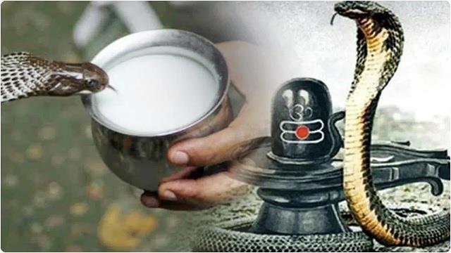 नाग पंचमी पर करें ये 3 खास उपाय; कालसर्प दोष से मिलेगी मुक्ति, जीवन में आएगी सुख-शांति और समृद्धि
