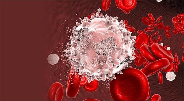 Blood Cancer होने से पहले दिखते हैं ये लक्षण, इन लोगों को रहता है सबसे ज्यादा खतरा