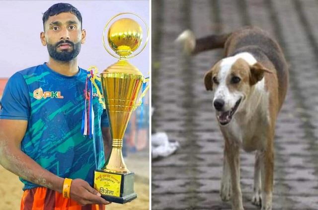 कुत्ते के काटने से कबड्डी प्लेयर गई की जान, जानें शरीर में कितनी तेजी से फैलता है रेबीज वायरस