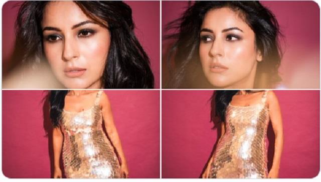 शहनाज गिल का ग्लैमरस अवतार: छोटी ड्रेस में दिखाया कमाल का स्टाइल, फैंस बोले वाह पंजाब की कैटरीना!