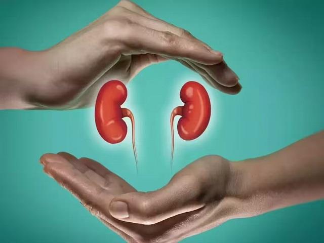 ये 10 आदतें धीरे-धीरे आपकी किडनी को कर सकती हैं खराब, अभी से बदलें ये गलतियां