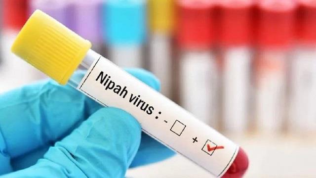 Covid के बाद केरल में निपाह वायरस की चिंता बढ़ी, 18 साल की युवती की मौत
