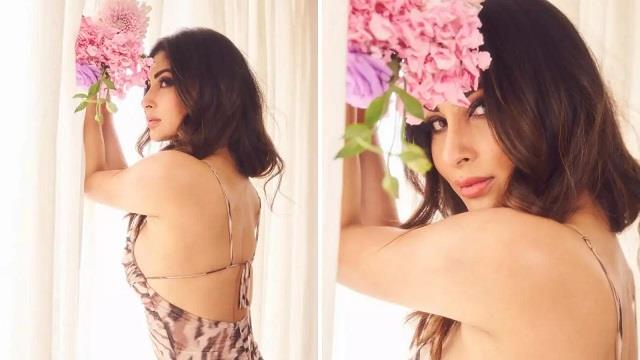 डीवा का नया लुक सोशल मीडिया पर हुआ वायरल, फैंस ने दिल खोलकर दी तारीफें