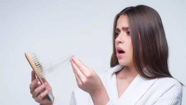 Hair Care Tips: हर दिन झड़ते बालों से परेशान? अपनाएं ये आसान घरेलू नुस्खे, हफ्तों में दिखेगा फर्क