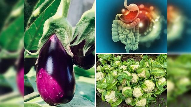 बारिश के मौसम ये गलती ना कर बैठना , ये खाते ही पेट हो जाएगा खराब