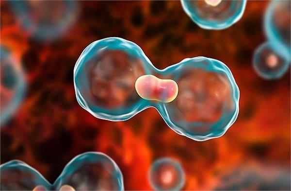 Cancer को आप खुद ही घर में पाल रहे, बचाव चाहिए तो पहले ये गलती सुधारें!