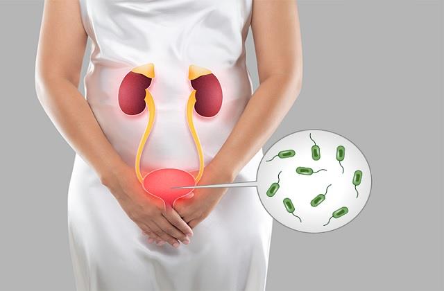 इन महिलाओं को बार-बार होती है UTI Infection, लापरवाही बरती तो Kidney को खतरा