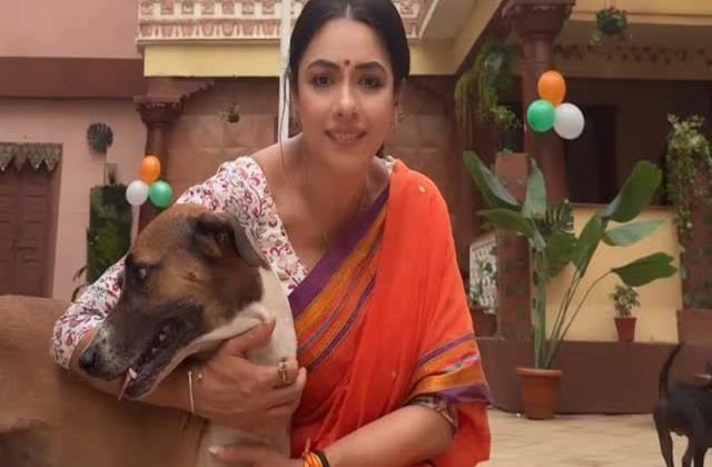 सभी की चहेती 'अनुपमा' पर लगा बीफ खाने का आरोप, जवाब में एक्ट्रेस बोली-  मुझे गर्व है कि मैं ...