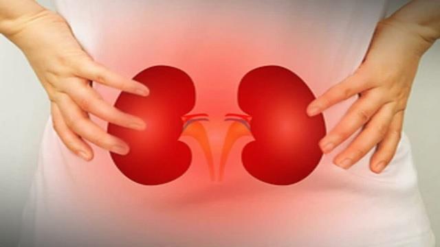 सुबह-सुबह दिखने लगे ये 7 लक्षण तो समझ लें ,Body किडनी स्टोन की ओर कर रही है इशारा