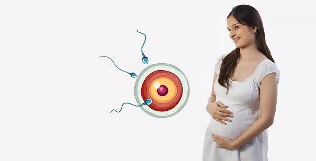 इस उम्र में कराएंगी IVF तो गुड न्यूज पक्की, डॉक्टरों ने खोजा सफल प्रेग्नेंसी का नया तरीका