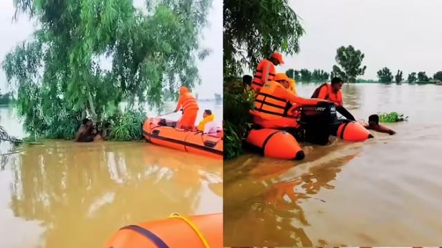 पंजाब में भयानक बाढ़ में बहे 4 युवक, चंद दूरी पर था पाकिस्तान, फिर NDRF ने बचाई जान