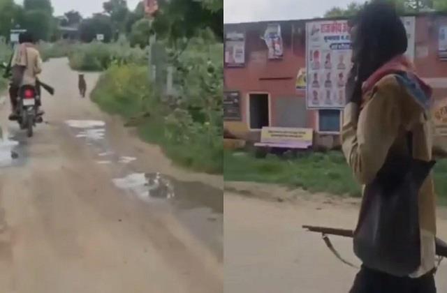 बेहद ही शर्मनाक घटना!  सनकी आदमी ने गोली से उड़ा दिए 25 कुत्ते, सड़कों पर बिछी लाशें ही लाशें