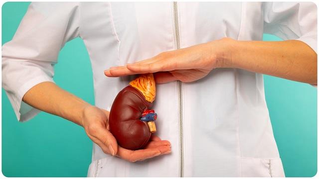 किडनी  फेलियर होने के पहले दिखते हैं ये 7 संकेत, न करें नज़रअंदाज़ करने की भूल