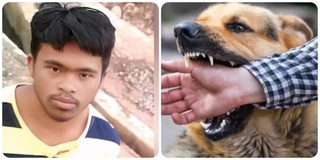 आवारा कुत्तों ने नोचा भारत के इस खिलाड़ी का मुंह, रेबीज इंजेक्शन लगने के बाद भी हुई मौत