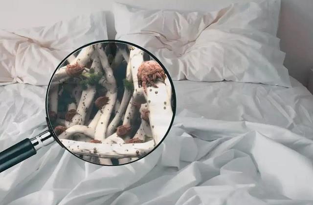 गंदी बेडशीट से बढ़ सकता है बीमारियों का खतरा, रात की नींद हो सकती है बेचैन