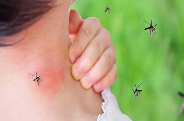 कहीं आपके बच्चे पर मच्छर न कर दें हमला, जानिए उन्हें बचाने के आसान और असरदार तरीके