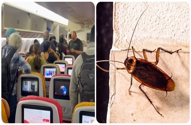 Air India की फ्लाइट में कॉकरोच ने मचाया आतंक, बीच हवा में इधर-उधर भागे Passengers