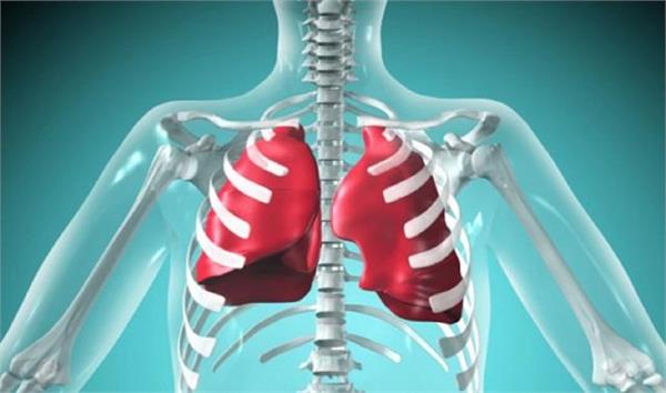 भविष्य में गायब हो सकते हैं इंसान के  ये 4 अंग, जानें क्यों होगा ऐसा?