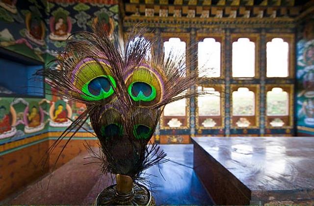 जन्माष्टमी से पहले घर के इस कोने में रखें मोर पंख, भगवान कृष्ण की हमेशा बरसेगी कृपा