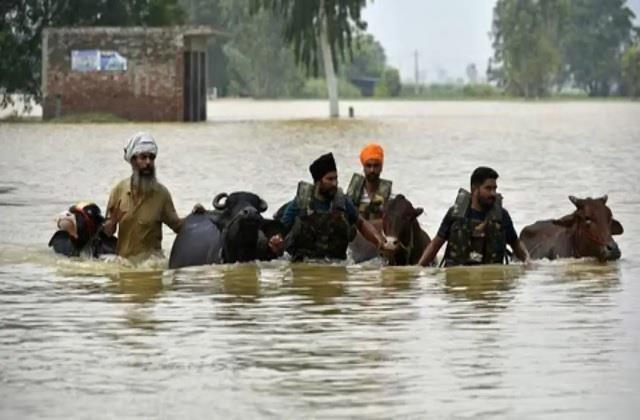 कम नहीं हो रही पंजाब की मुश्किलें, बाढ़ के बाद फैली ये बेहद खतरनाक बीमारी