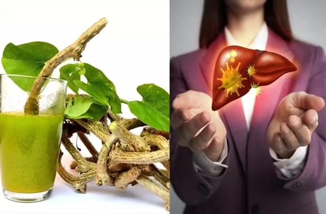 आयुर्वेद की यह  जड़ी-बूटी लीवर को कर देती है बर्बाद , 90 प्रतिशत लोग हैं इस बात से अनजान