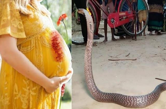 गर्भवती स्त्री के सामने आते ही सांप हो जाते हैं अंधे! बेहद अजीब है इसकी वजह