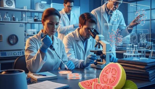 Liver Cancer Treatment: अमरूद में छुपा लिवर कैंसर का इलाज! वैज्ञानिकों ने खोजी नई रिसर्च