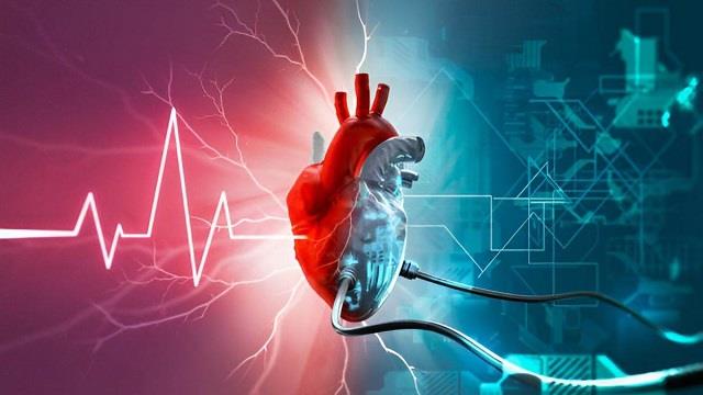 World Heart Day 2025: हार्ट अटैक के बाद पहले 90 दिन आपकी लाइफस्टाइल कैसी होनी चाहिए?