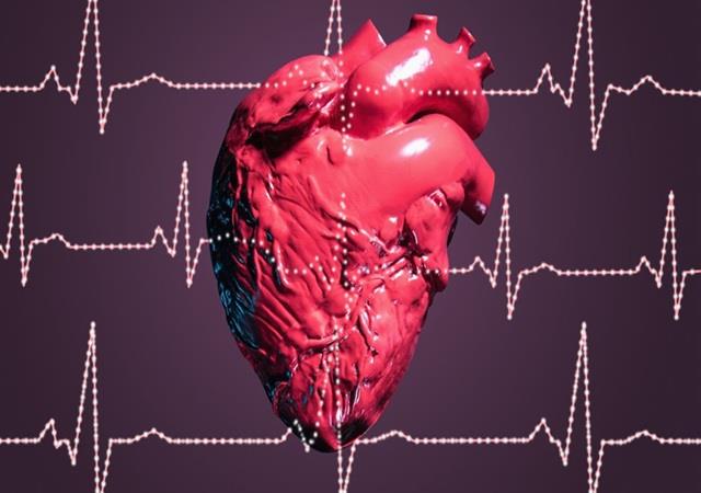 World Heart Day: पुरुषों और महिलाओं की दिल की धड़कन में भी होता है फर्क