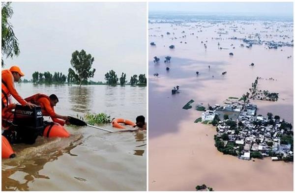 पंजाब में बाढ़ से तबाही: 1902 गांव जलमग्न, 4 लाख लोग प्रभावित, 43 की मौत, कई इलाकों में अलर्ट जारी