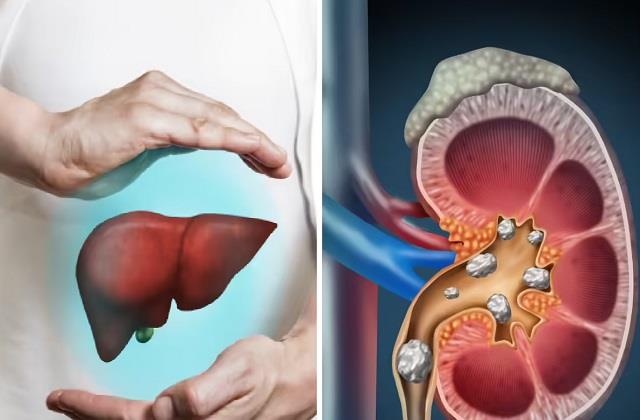 Liver और Kidney कभी नहीं करेंगे परेशान, जब रोजाना भूखे पेट करोगे ये काम
