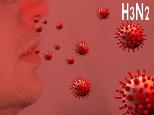 H3N2 वायरस के लक्षण कितने दिन में दिखते हैं? जानिए शुरुआती संकेत
