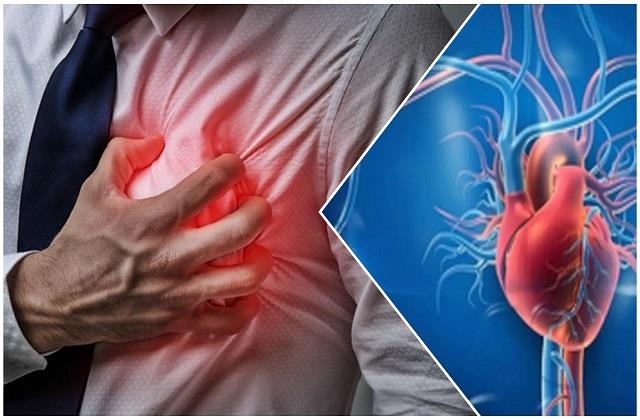 शरीर में होते हैं दो दिल, एक कमजोर हुआ तो दूसरा भी हो जाएगा बीमार