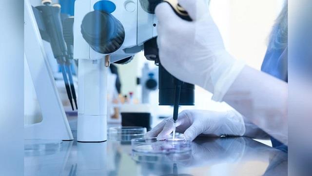 IVF बार-बार फेल हुआ, उम्मीदें टूट चुकी थीं… अब AI ने बना दिया नामुमकिन को मुमकिन