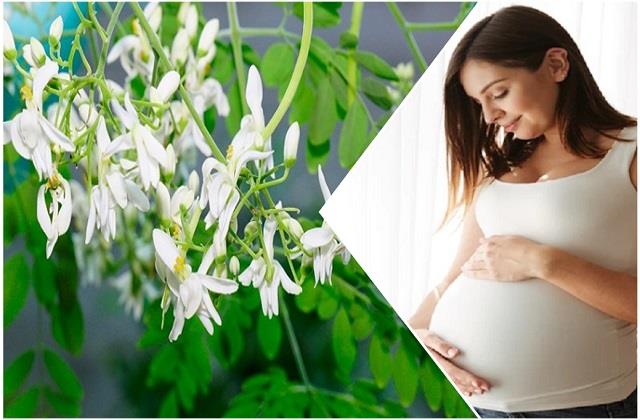 गर्भावस्था में सहजन के फूल खाने से मां और बच्चे को मिलते हैं ये फायदे