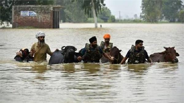 Punjab Floods 2025: 25 साल की सबसे भारी बारिश, अब तक 43 की मौत, हजारों गांव जलमग्न
