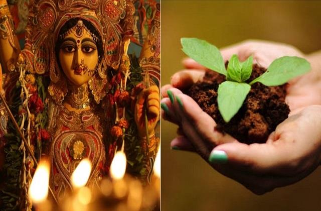 शारदीय नवरात्र पर घर में जरूर लगाएं ये पौधे, जीवन की हर समस्या होगी दूर