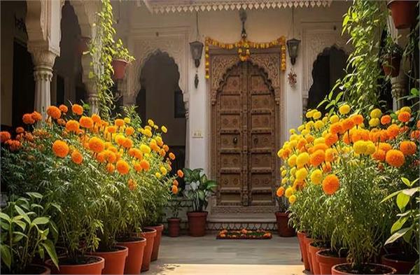 जाने गेंदे के फूल का महत्व और वास्तु में सही दिशा में रखने के लाभ