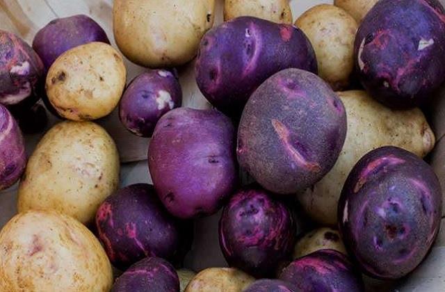 आम आलू से कही गुणा फायदेमंद है बैंगनी आलू, दिल और शुगर मरीजों के लिए तो वरदान