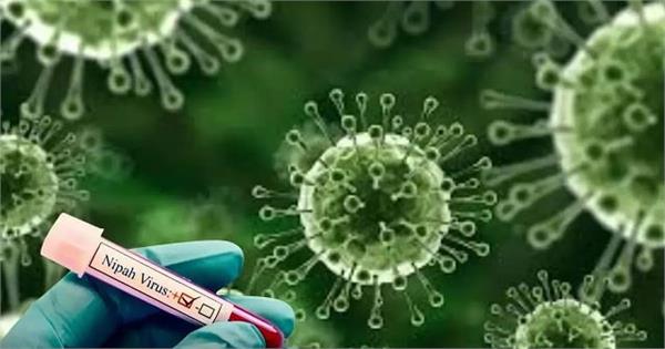 कोरोना के बाद अब निपाह वायरस का डर, क्या है ये बीमारी और कैसे करें बचाव