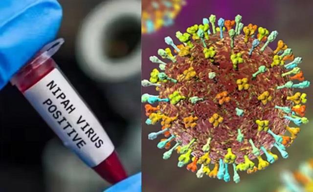 बंगाल में निपाह वायरस अलर्ट, जानिए क्या है यह खतरनाक बीमारी