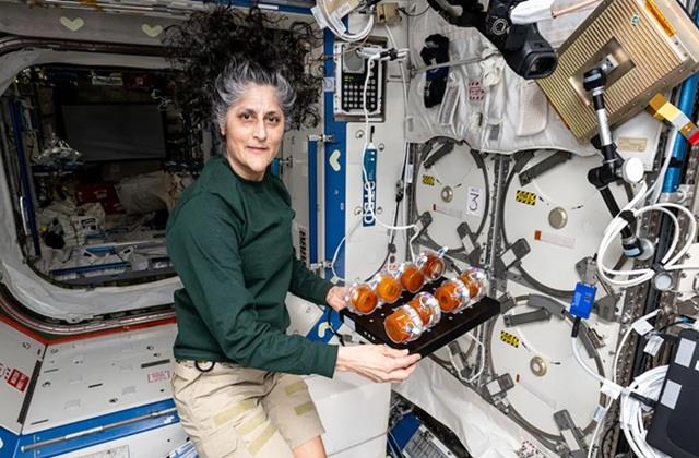 स्पेस में 9 महीने गुजारने वाली सुनीता विलियम्स का अंतरिक्ष सफर हुआ खत्म, NASA से हुई  रिटायर