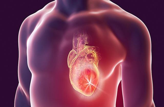 Heart Attack के बाद डैमेज मसल्स फिर हो सकती है ठीक, यहां पढ़िए नई स्टडी के बारे में