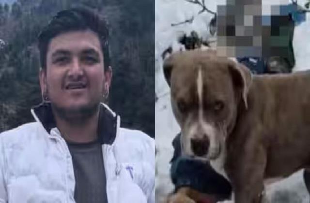 मालिक की मौत के बाद भी कुत्ते ने निभाई वफादारी, जानें पूरा मामला